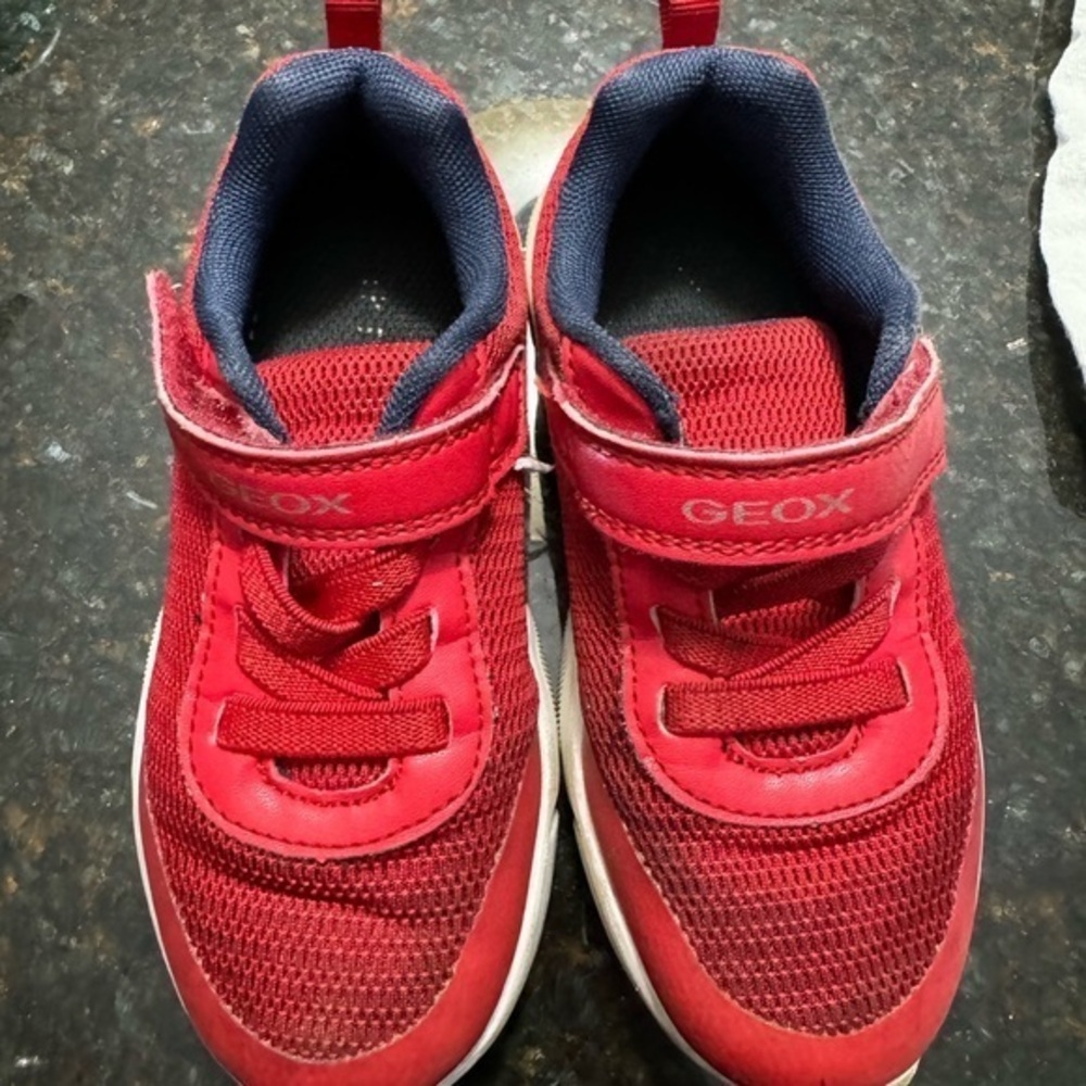 Geox sneakers